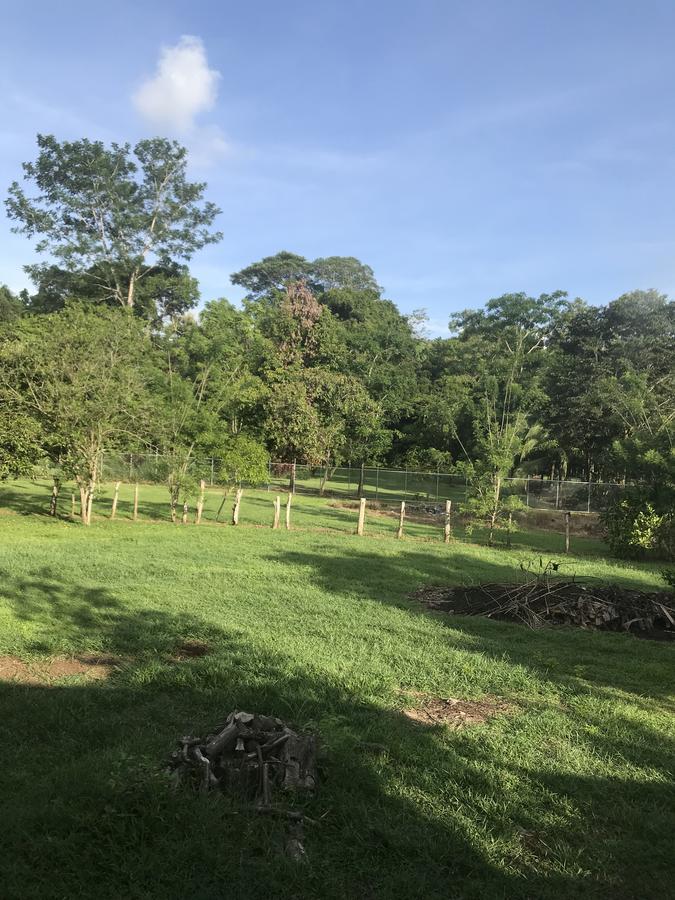 Villa Segura Manuel Antonio, Quepos Exterior foto
